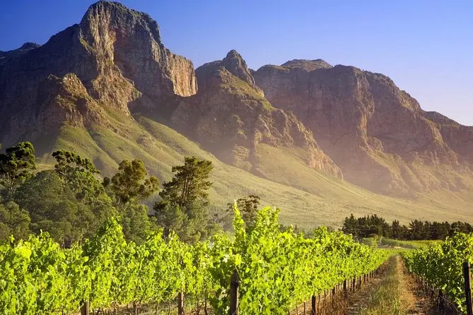 Cape Town Winelands in South Africa