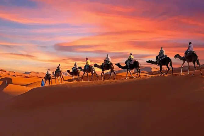 Sahara Camel Trek in Morocco