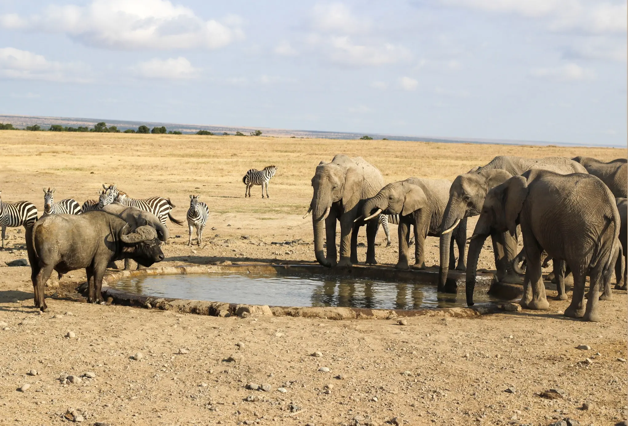 3 DAYS MAASAI MARA FLY-IN SAFARI